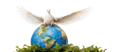 dove of peace,doves of peace,holy spirit,peace dove,ecopeace,luigia,mother earth statue,peacebuilding,global oneness,divine healing energy,urantia,tropicbirds,mother earth,peacocke,star of bethlehem,encyclical,birational,migratory bird,pentecostalist,aguiluz,Photography,Black and white photography,Black and White Photography 14