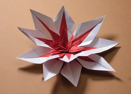 In a bleak post-apocalyptic world, describe a lone poinsettia flower bringing a glimmer of hope.,origami paper,red snowflake,origami,fabric flower,paper rose,folded paper,paper art,origami paper plane