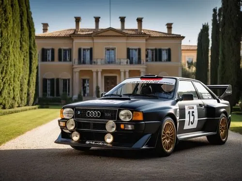 integrale,campionati,competizione,abarth,rallye,gordini,quattro,lancia,audi sport rs4 quattro,italian style,safety car,nardi,boggio,bianche,grabica,historiques,fadrique,sainz,delecour,autosports,Photography,General,Natural