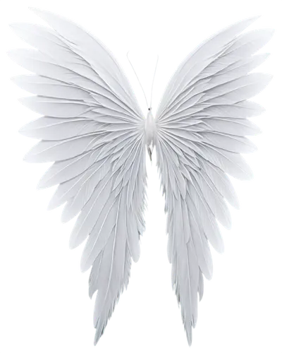 angel wings,angel wing,winged heart,winged,wings,angelology,angel line art,png transparent,delta wings,white feather,butterfly white,twitter logo,dove of peace,crying angel,love angel,wing,bird wings,butterfly vector,business angel,angels,Art,Artistic Painting,Artistic Painting 08