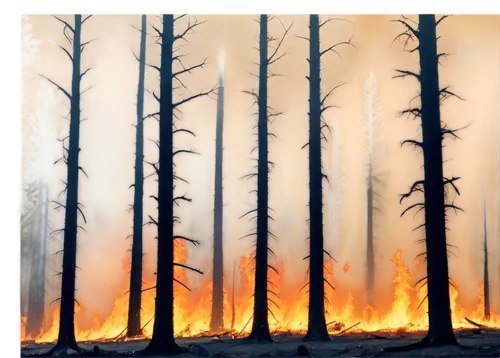 Wildfire, flames engulfing trees, smoke billowing, orange-yellow blaze, burning embers, charred trunks, fiery sparks, apocalyptic atmosphere, dramatic lighting, 3/4 composition, shallow depth of field