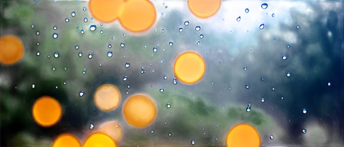 rain on window,rain droplets,rain drops,raindrops,droplets,raindrop,rainwater drops,dewdrops,light rain,waterdrops,drops on the glass,droplets of water,bokeh lights,drop of rain,bokeh,dew droplets,water droplets,dew drops,golden rain,bokeh effect,Illustration,Realistic Fantasy,Realistic Fantasy 37