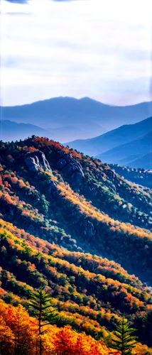 beech mountains,alleghenies,blue ridge mountains,autumn mountains,overmountain,shenandoah,ajloun,shenandoah valley,cevennes,mountainous landscape,peavine,fall landscape,neversink,appalachians,the landscape of the mountains,mountain landscape,bieszczady,aspromonte,fruitlands,planina,Illustration,Realistic Fantasy,Realistic Fantasy 30