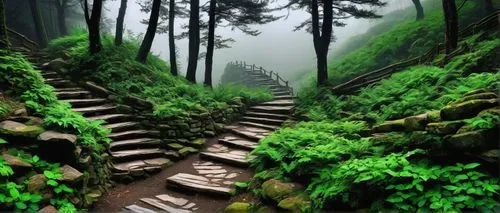 Winding mountain path, foggy atmosphere, misty trees, rugged stone steps, rustic wooden railings, vibrant greenery, subtle water sounds, serene ambiance, warm soft lighting, cinematic composition, atm