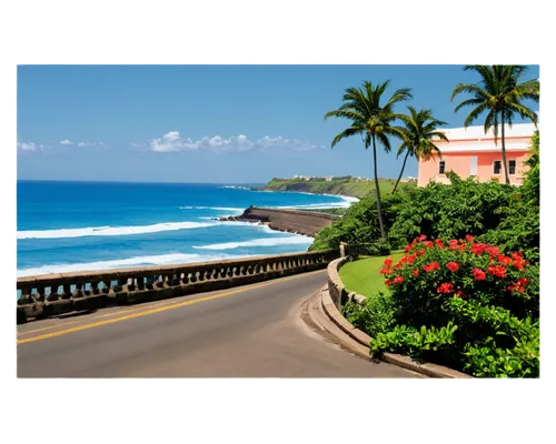 Colorful Puerto Rico scenery, old San Juan architecture, vibrant tropical flowers, palm trees, blue ocean waves, sunny day, bright light, 3/4 composition, shallow depth of field, warm color tone, pano