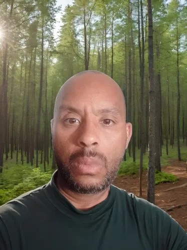 forest background,greenscreen,woods,green screen,lekota,mutahi,Outdoor,Forest