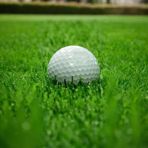 grass golf ball,golf lawn,golf ball,the golf ball,zoysia,golf course grass,golf course background,mini golf ball,golfball,bentgrass,turfgrass,golf balls,golfweb,golf,golfvideo,golf landscape,golf backlight,golfen,golf hole,strokeplay