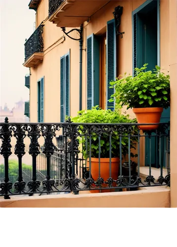 balcones,wrought iron,paris balcony,balconies,balcony,balcon,balustrade,block balcony,baglione,verandahs,verandas,italianate,sursock,balconied,sicily window,camondo,watercolor paris balcony,balcony garden,baluster,giudecca,Photography,Documentary Photography,Documentary Photography 05