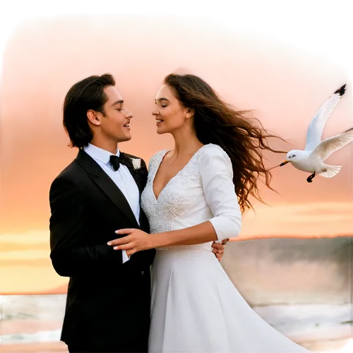 Couple, loving, embracing, kissing, soft focus, warm lighting, golden hour, sunset background, beach setting, romantic atmosphere, gentle waves, seagulls flying, woman's hair blowing, man's hands on w