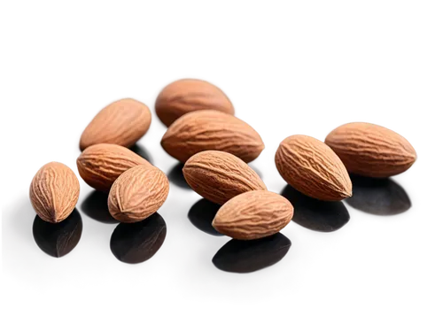 unshelled almonds,almond nuts,indian almond,almonds,salted almonds,roasted almonds,almond,chocolate-coated peanut,cocoa beans,almond meal,pine nuts,beaked hazelnut,hazelnuts,almond oil,pecan,apricot kernel,argan,pine nut,cocoa solids,walnuts,Illustration,Realistic Fantasy,Realistic Fantasy 47