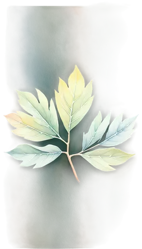 spring leaf background,leaf background,walnut leaf,watercolour leaf,watercolor leaves,watercolor leaf,tree leaf,fig leaf,bay leaf,chestnut leaf,beech leaf,tree leaves,maple leave,leaf icons,laurel wreath,bay-leaf,oak leaves,oak leaf,magnolia leaf,leaf branch,Illustration,American Style,American Style 12