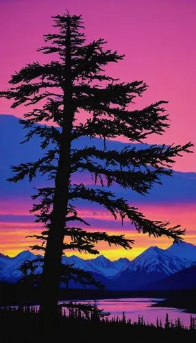 Last Light - Wrangell-St. Elias National Park, AK,watercolor pine tree,purple landscape,fir tree silhouette,oregon pine,painted tree,pine tree,pine-tree,lone tree,pine trees,larch trees,spruce trees,s