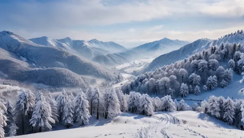 snow landscape,winter background,winter landscape,snowy landscape,landscape mountains alps,carpathians,Photography,General,Natural