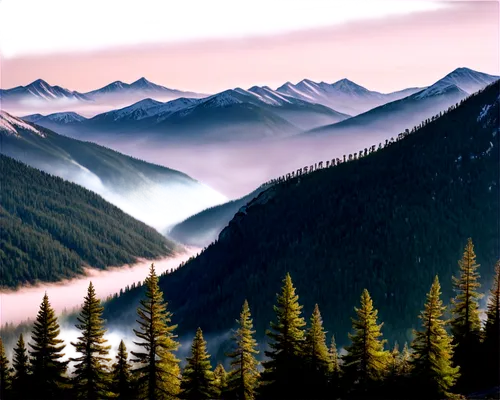 temperate coniferous forest,coniferous forest,mountain landscape,foggy landscape,mountainous landscape,larch forests,british columbia,foggy mountain,tropical and subtropical coniferous forests,landscape background,mountain scene,spruce forest,salt meadow landscape,north american fog,landscape mountains alps,spruce-fir forest,white mountains,fog banks,forest landscape,slowinski national park,Photography,Documentary Photography,Documentary Photography 21