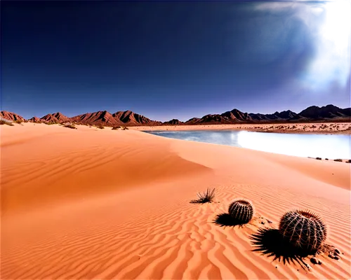 libyan desert,desert desert landscape,desert landscape,argentina desert,gobi desert,capture desert,arid landscape,namib desert,desert background,desert,the gobi desert,the atacama desert,atacama desert,the desert,sahara desert,dune landscape,stone desert,merzouga,arid,desert planet,Illustration,Black and White,Black and White 11