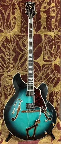 duesenberg model j,epiphone,duesenberg,painted guitar,turquoise leather,gibson,ibanez,acoustic-electric guitar,mandolin mediator,mandolin,bouzouki,ss jaguar 100,70-s,samba deluxe,electric guitar,nash 600,fender g-dec,guitar,guitar head,hauhechel blue,Illustration,Vector,Vector 16