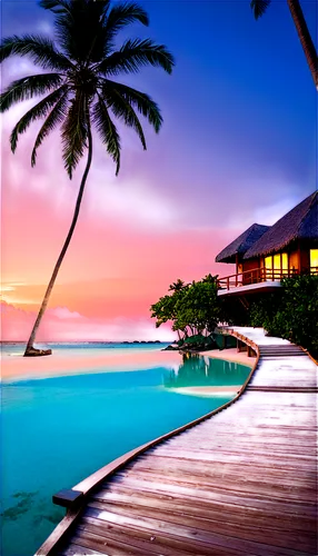 tropical house,tropical beach,tropical island,maldive,dream beach,maldives,tropics,maldive islands,caribbean,ocean paradise,paradises,tropical sea,paradis,the caribbean,caribbean beach,french polynesia,beachfront,coconut trees,beautiful beach,seychelles,Conceptual Art,Daily,Daily 20