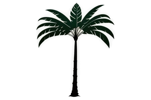 palm tree vector,norfolk island pine,tropical leaf,growth icon,betel palm,palmtree,wine palm,dracena,fan palm,cycad,gymnosperm,alpinia,potted palm,coconut palm tree,palm tree,tropical leaf pattern,washingtonia,palm leaf,zamia,pokok,Unique,Paper Cuts,Paper Cuts 05