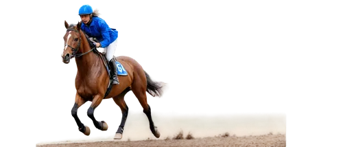 Dynamic horse, galloping, racing pose, shiny brown coat, flowing mane, athletic muscles, jockey in blue uniform, white helmet, riding boots, intense facial expression, sweat droplets, motion blur, rea