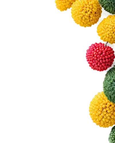 brigadeiros,microvesicles,pineapple background,yellow raspberries,cactus digital background,vesicles,lipoproteins,nanoparticles,lemon background,pollen,pineapple wallpaper,pollen warehousing,chlorpyrifos,microbiological,ufdots,colorful vegetables,lemon wallpaper,marmosa,microflora,spherules,Conceptual Art,Daily,Daily 26