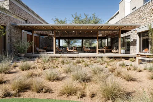 dunes house,landscape designers sydney,landscape design sydney,grass roof,quail grass,garden design sydney,mid century house,ruhl house,perennial flax,barrel cactus,mesquite flats,perennial plants,lan