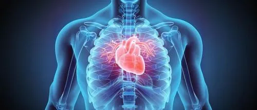 thymus,cardiomyopathy,pleurisy,hyperparathyroidism,splenomegaly,hypercholesterolemia,pectoralis,myocardium,pneumonitis,intrahepatic,haemochromatosis,bronchial,pericarditis,pulmonic,hepatomegaly,microc