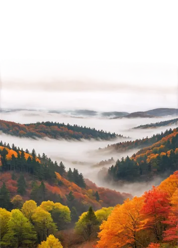 autumn fog,foggy landscape,autumn landscape,autumn mountains,fall landscape,autumn scenery,autumn in japan,autumn forest,autumn background,japan landscape,colors of autumn,beech mountains,autumn colors,foggy mountain,autumn frame,germany forest,fog banks,japanese mountains,beautiful japan,foggy forest,Illustration,Realistic Fantasy,Realistic Fantasy 04