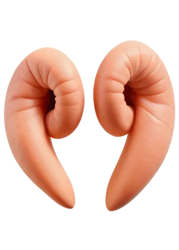 mesentery,deferens,kidney,diaphragmatic,diverticula,homoeosoma,volvulus,orang,appendectomies,diverticulosis,aneurysms,epididymis,mediastinal,diaphragms,testicular,diverticulum,colitis,intussusception,oviduct,diverticular,Unique,3D,Modern Sculpture