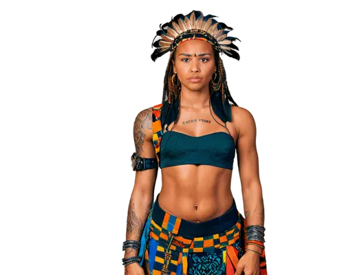 amerindian,warrior woman,polynesian girl,aborigine,africana,amazona,native american,marquesan,american indian,tainos,maivia,ixchel,apocalypto,grenadian,indigenist,vodun,female warrior,amazonian,indian headdress,the american indian,Conceptual Art,Oil color,Oil Color 18