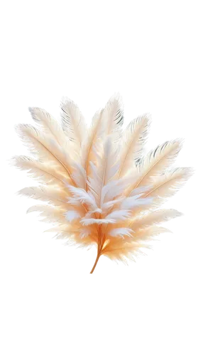 flame flower,palm tree vector,plumes,fire flower,sunburst background,flowers png,chrysanthemum background,light fractal,pine cone ornament,uniphoenix,feather carnation,palm blossom,salt flower,pine flower,pinecone,feather,volumetric,gradient mesh,palm lily,celestial chrysanthemum,Unique,Pixel,Pixel 02