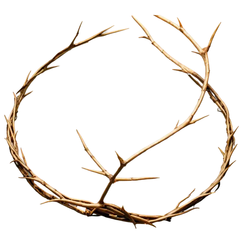 laurel wreath,crown of thorns,dry twig,buck antlers,antler,crown-of-thorns,deer antlers,antlers,dry branch,couronne-brie,bare branch,diademhäher,dead branches,moose antlers,enokitake,pine branch,deer antler,tree branch,spruce branch,circular ornament,Illustration,American Style,American Style 05