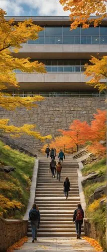 yonsei,kansai university,kaist,ewha,ubc,schulich,gyeongnam,gyeonggi,njitap,gyeongju,jadwin,gyeonggi do,seongnam,hankyoreh,autumn in japan,suwon,changgyeonggung palace,yeongnam,changdeokgung,seodaemun,Photography,Documentary Photography,Documentary Photography 21