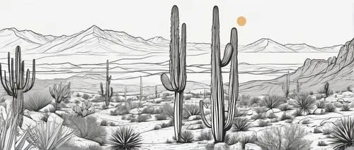 desert plants,cactus line art,organ pipe cactus,desert desert landscape,cacti,desert landscape,sonoran desert,saguaro,desert background,sonoran,desert plant,desert,cactus digital background,arid landscape,cactus,the desert,organ pipe,desert run,arizona,capture desert,Illustration,Black and White,Black and White 04