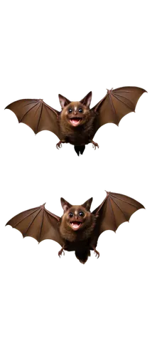 Flying bat, dark brown wings, spread wide, nocturnal creature, small eyes, pointed ears, furry body, sharp teeth, mid-air pose, soft focus, warm lighting, 3/4 composition, shallow depth of field, cine