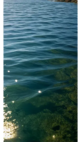 lake colico,jezero,water surface,lake taupo,lake powell,lake forggensee,calm water,sarovar,llyn,lagunas,lake,green water,reflection of the surface of the water,water scape,embalse,mountainlake,lake terchin,waterscape,lake baikal,limnology,Illustration,American Style,American Style 01