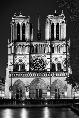 notre dame,notre-dame,notredame de paris,paris,saint michel,universal exhibition of paris,paris clip art,notre dame de sénanque,river seine,fleur-de-lis,gothic architecture,french building,haunted cathedral,cathedral,world heritage,rhone,france,the cathedral,st-denis,french digital background,Conceptual Art,Fantasy,Fantasy 20