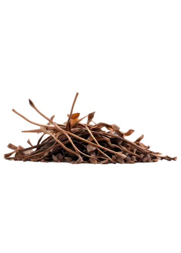 withered dead flowers, dark brown petals, dry stems, scattered on ground, solo, close-up, shallow depth of field, warm color tone, soft focus, cinematic lighting, morning dew, subtle texture, natural 