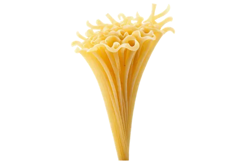 strozzapreti,rotini,fusilli,italian pasta,penne,fettuccine,spaguetti,pasta,macaroni,noodle image,cheese noodles,capellini,broken pasta,conchiglie,corn straw,penne alla vodka,spaghetti,coral fungus,ramaria,passatelli,Conceptual Art,Sci-Fi,Sci-Fi 19