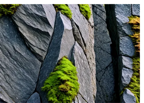 mountain stone edge,cliff face,rock forms,dolerite rock,granite texture,rock walls,rock erosion,basalt columns,rock face,outcrop,rock outcrop,rock weathering,split rock,rock formations,rock formation,splendor notch,spruce needle,background with stones,rocky hills,basalt,Illustration,Paper based,Paper Based 10