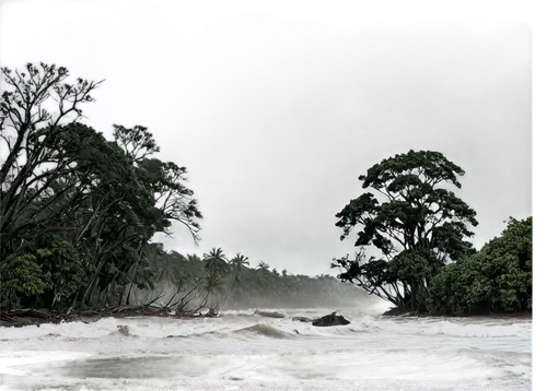 peleliu,inundation,sundarbans,tarawa,storm surge,inundations,tsunamis,simeulue,sunderbans,superstorm,karamea,floodwaters,mentawai,sea storm,andamans,nature's wrath,floodplains,tropical cyclone,sundarban,mudaliyar,Photography,Documentary Photography,Documentary Photography 28