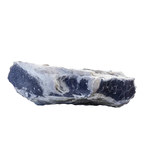 premolar,tremella,premolars,prometric,isolated product image,proglacial