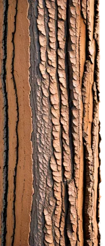 tree bark,wood texture,tree texture,birch trunk,strawberry tree-bark,birch bark,sandstone wall,paperbark,fossil dunes,ferruginea,mouseman,bark,pseudotsuga,bioturbation,vastola,epidermis,tree trunk,striae,ornamental wood,trunk,Illustration,Japanese style,Japanese Style 13