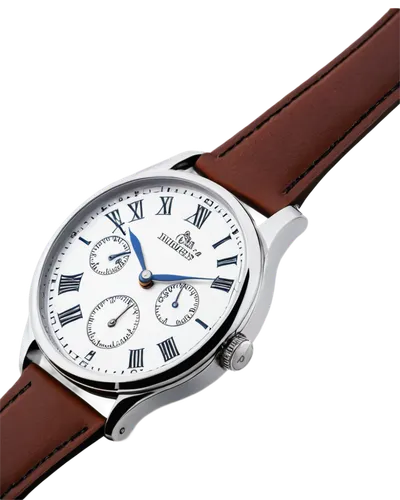 meistersinger,chronometer,men's watch,mechanical watch,open-face watch,corporatewatch,conoley,male watch,analog watch,bremont,wristwatch,shinola,bidermann,swatch watch,timex,sidener,jaquet,kienzle,biowatch,horological,Illustration,Realistic Fantasy,Realistic Fantasy 34