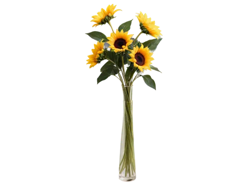 yellow gerbera,sunflower lace background,yellow calendula flower,sunflowers in vase,flowers png,rudbeckia,calenduleae,taraxacum,helianthus occidentalis,sunflower,helianthus tuberosus,rudbeckia fulgida,rudbeckia nidita,small sun flower,oxeye daisy,helianthus,calendula,yellow flower,helianthus annuus,erdsonne flower,Conceptual Art,Daily,Daily 23