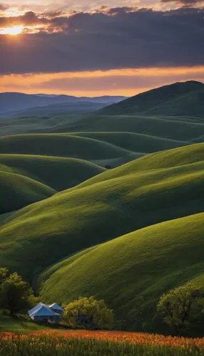 Describe the tranquility of Adım Farab as the sun sets over rolling hills.,tuscany,rolling hills,tuscan,beautiful landscape,inner mongolian beauty,northern california,green landscape,grasslands,green 