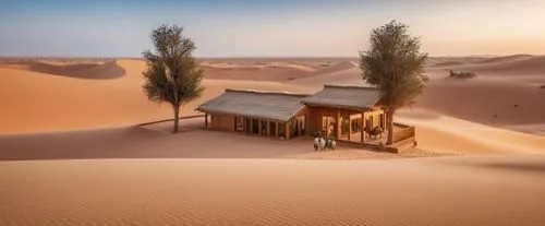 desert landscape,desert desert landscape,dune landscape,libyan desert,capture desert,desert,dunes house,deserto,the desert,semidesert,arid landscape,admer dune,sahara desert,deserts,lonely house,gobi desert,desertlike,desertification,desert background,sand dunes,Photography,General,Realistic