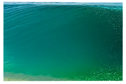 Ocean wave, transparent background, foam crest, sunlight reflection, blue-green gradient water, ripples, shallow depth of field, calming atmosphere, 3/4 composition, soft focus, natural lighting.,a gr