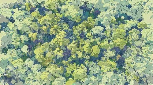 forests,trees,forest floor,green trees,mixed forest,tree tops,forest,tree canopy,forest tree,the forests,forest plant,coniferous forest,cartoon forest,green forest,the forest,canopy,the trees,fir fore