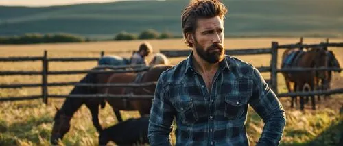 Muscular man, breeder, 30s, rugged beard, messy hair, worn leather gloves, plaid shirt, faded jeans, boots, standing, rural landscape, countryside, sunset, farm, fields, horses, cows, barn, rustic fen