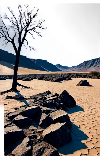 Eroded cliff, rugged rocky surface, cracked earth, fallen rocks, withered trees, roots exposed, dry riverbed, sandy dunes, strong wind blowing, dramatic lighting, high contrast, 3/4 composition, panor